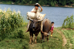 Commuting-Vietnamx