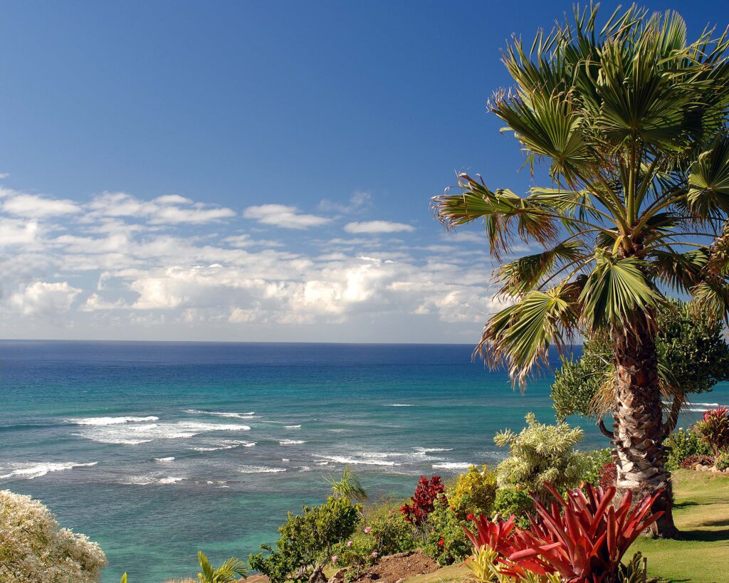 beach38x10-128439326-O