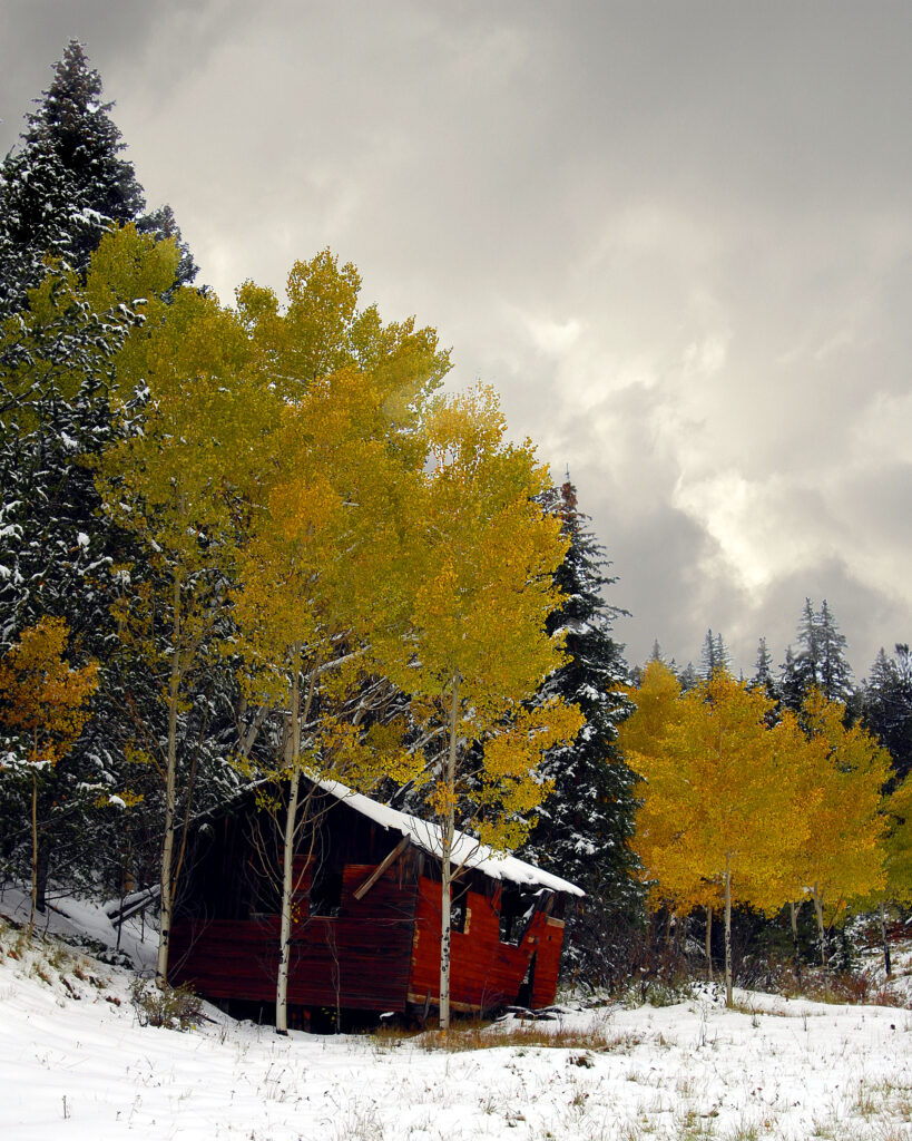 shed8x10-1674297108-O